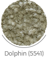 dolphin(5541) color of hermes wall-to-wall carpet