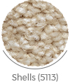 shells color of royal wall-to-wall carpet