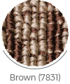 brown color of taraneh wall-to-wall carpet