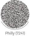philly gray color of aras wall-to-wall carpet