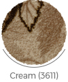 cream color of benjamin wall-to-wall carpet