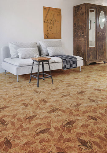 benjamin wall-to-wall carpet