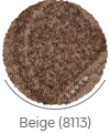 beige color of bistoon wall-to-wall carpet