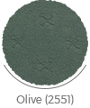 olive color of chalipa wall-to-wall carpet