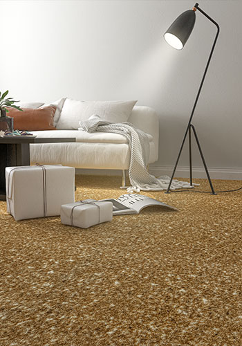elena wall-to-wall carpet