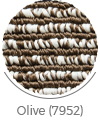 olive color of hamoon wall-to-wall carpet