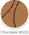 chocolate color of karoon wall-to-wall carpet