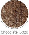 chocolate color of mahyas wall-to-wall carpet