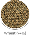wheat color of moj wall-to-wall carpet