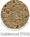 goldenrod color of noyan wall-to-wall carpet