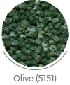 olive color of royal wall-to-wall carpet