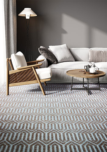 shine wall-to-wall carpet