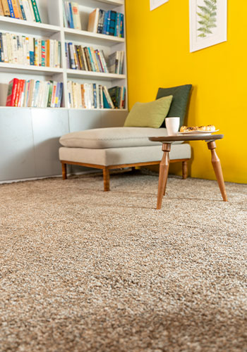 sydeny wall-to-wall carpet