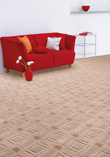 venus wall-to-wall carpet