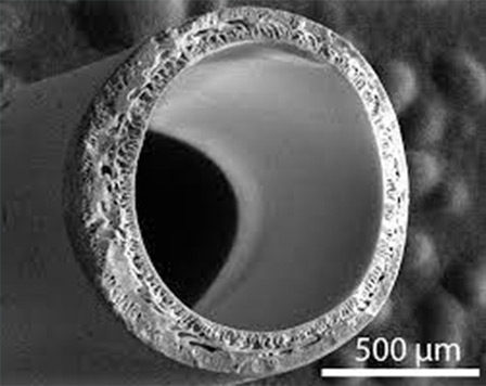 A hollow fiber strand under microscope