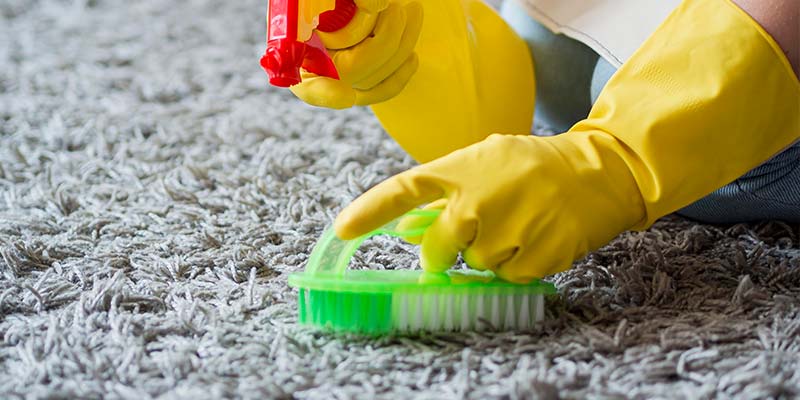 Cleaning a Wall-to-Wall Carpet