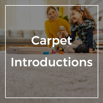 carpet introductions