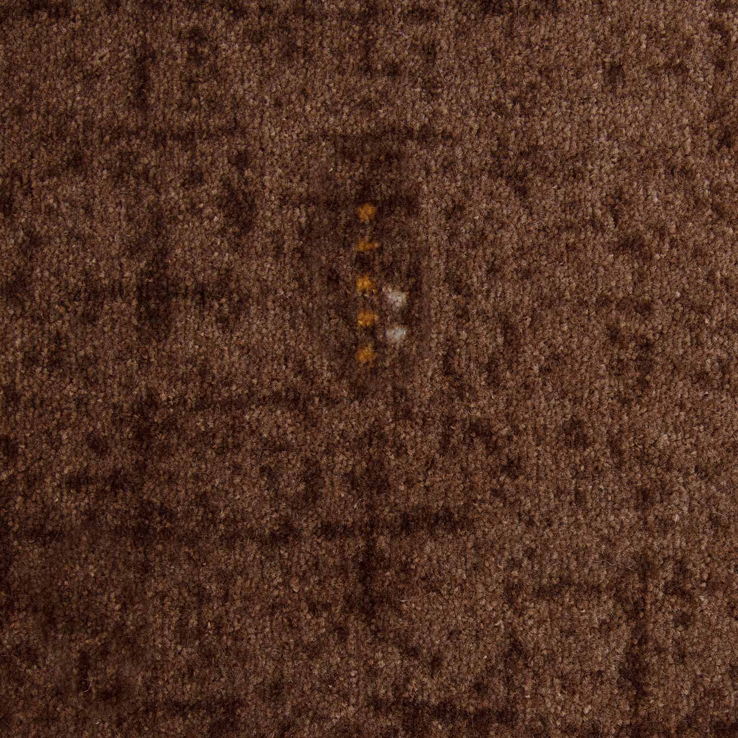 Elit Tufted Carpet - Image 7