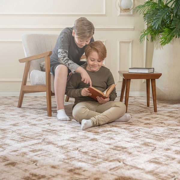 Parmida Tufted Carpet