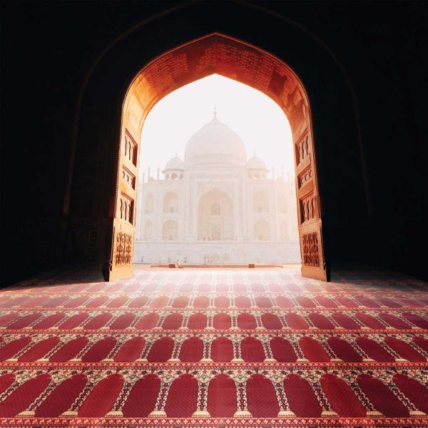 Rezvan Tufted Carpet