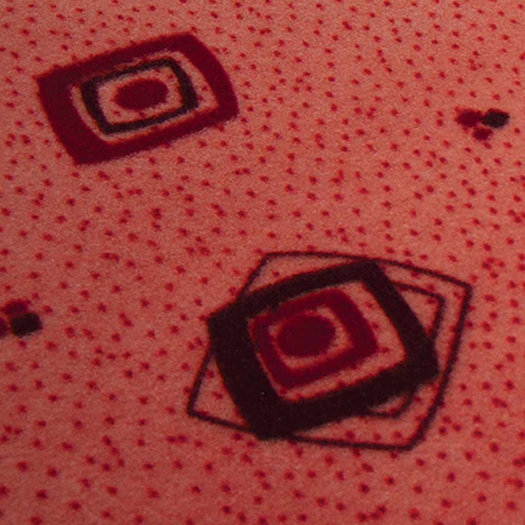 Tara Needle Felt Carpet - Image 5