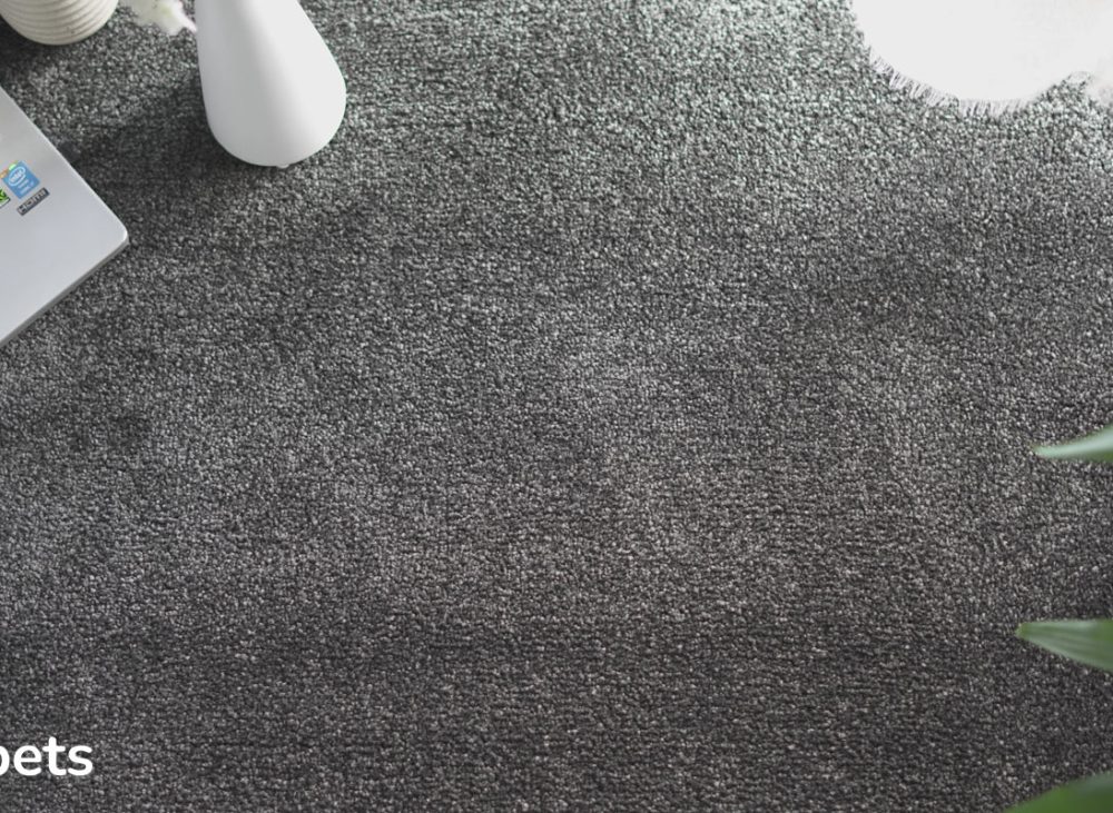 Choosing Carpet Colors for Bright Homes